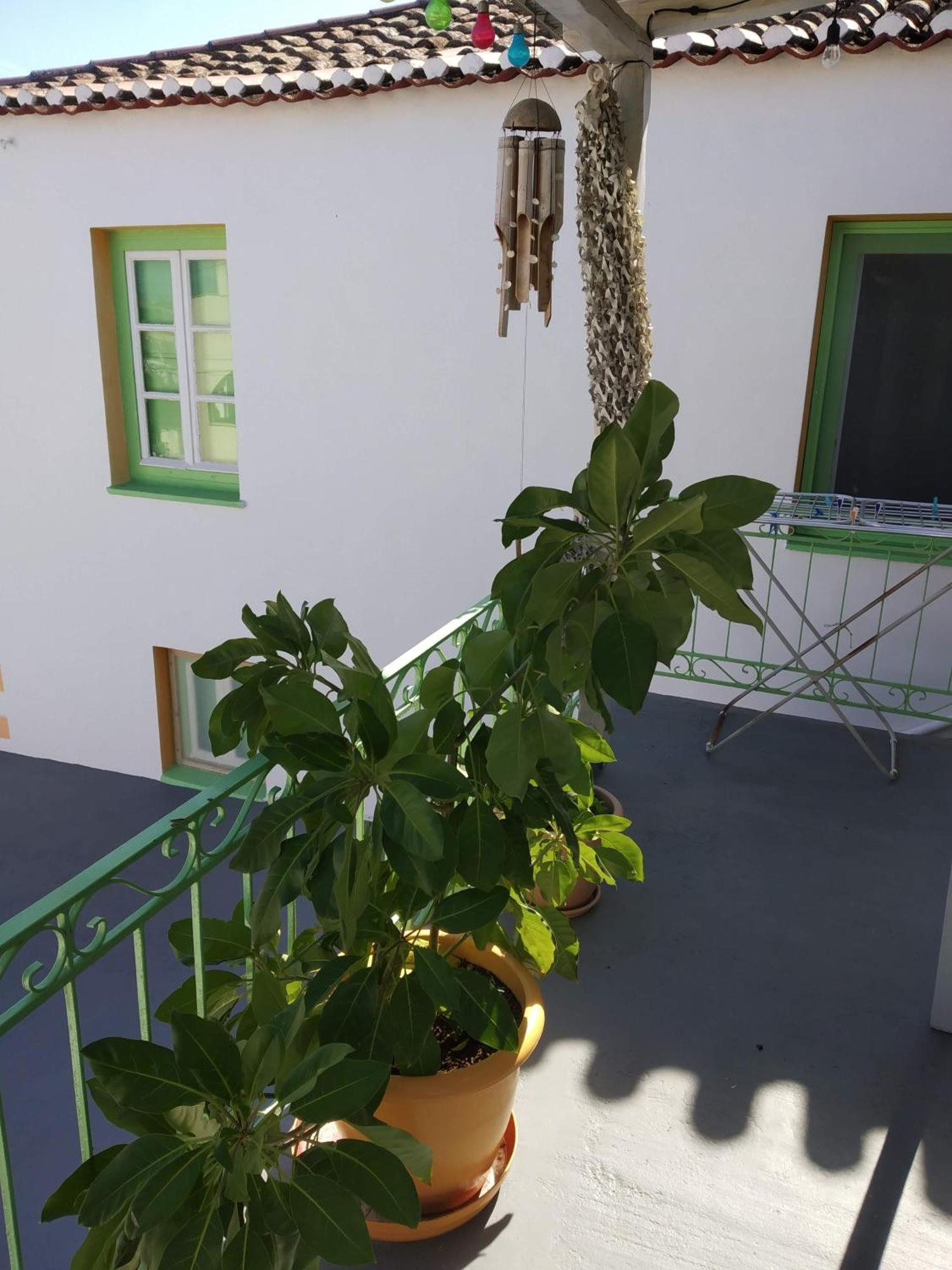 Vaggelis Traditional House スペツェス エクステリア 写真