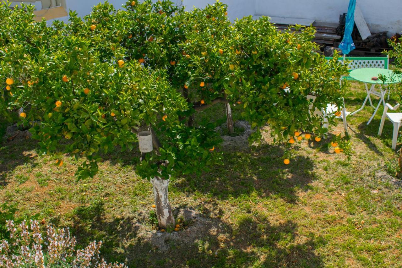 Vaggelis Traditional House スペツェス エクステリア 写真